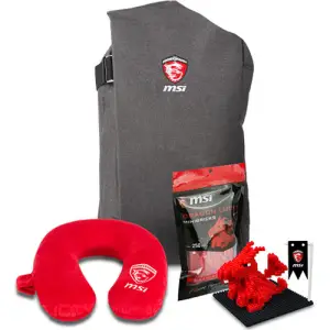 Nahrbtnik za notesnik 43,9 cm (17,3″) MSI Fever GS komplet - potovalni vzglavnik, MSI Dragon igrača siv (957-1XXXXE-014)